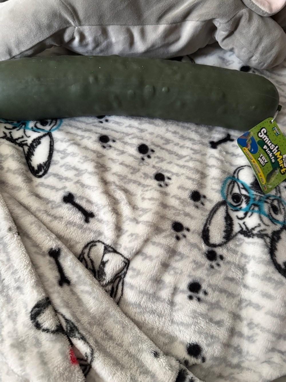 SmushMart squishy pickle